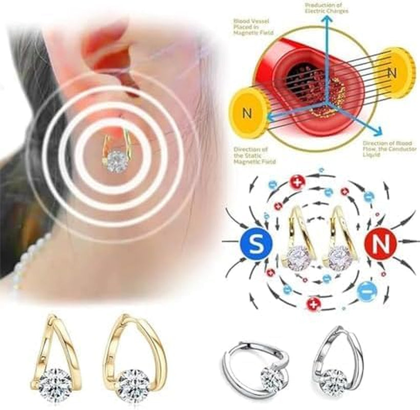 2 Pairs Honorable Joy Lymphatic Earrings,Lymphvity Magnetic Therapy Earrings,Lymphatic Earrings for Women