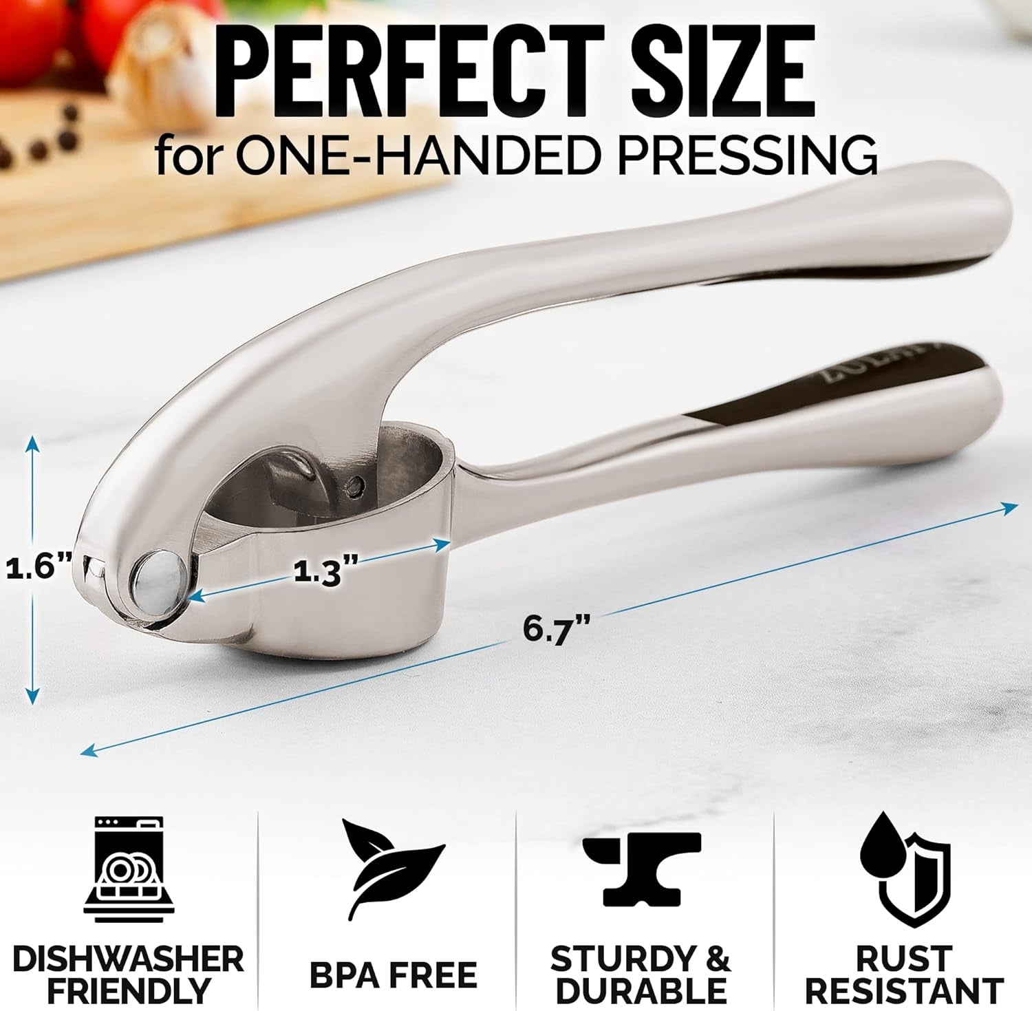 Premium Garlic Press Set - Rust Proof & Dishwasher Safe Professional Garlic Mincer Tool - Easy-Squeeze, Easy-Clean with Soft, Ergonomic Handle - Silicone Garlic Peeler & Brush (Silver)