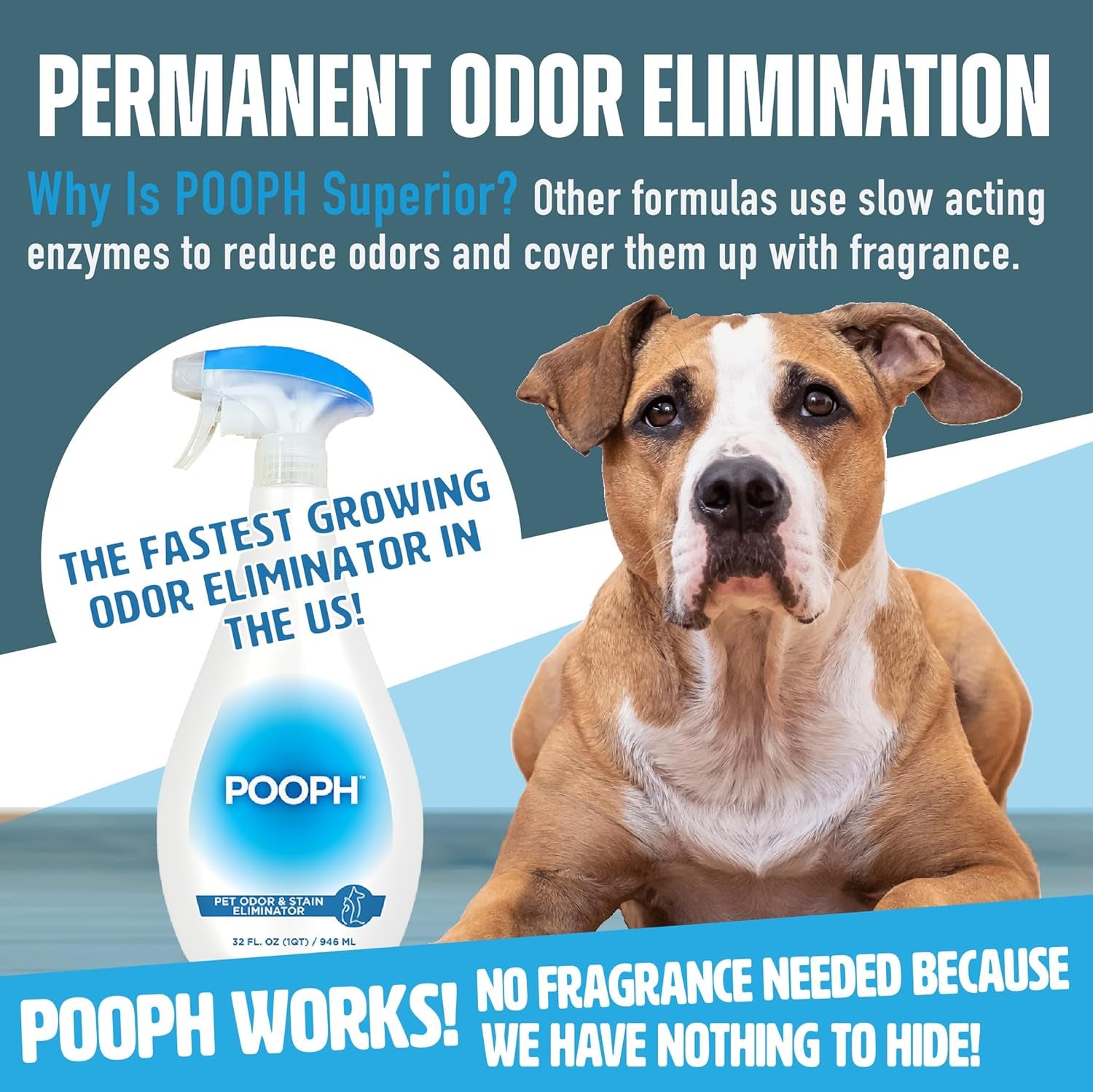 Pet Odor Eliminator, 32Oz Spray - Dismantles Odors on a Molecular Basis, Dogs, Cats, Freshener, Urine, Poop, Pee, Deodorizer, Natures, Puppy, Fresh, Clean, Furniture, Potty, Safe